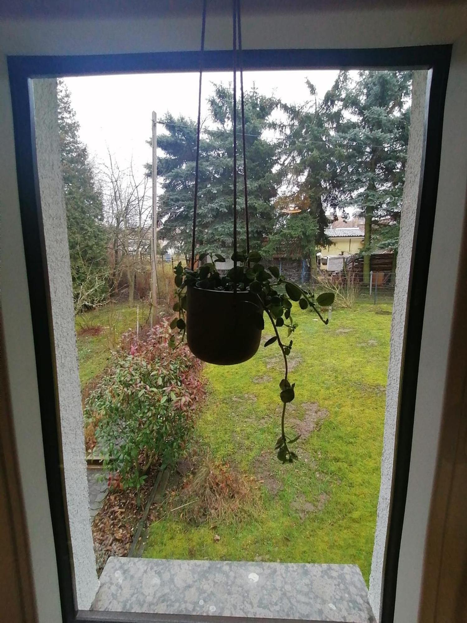 Ferienhaus Fuxbau Wohlau Buitenkant foto