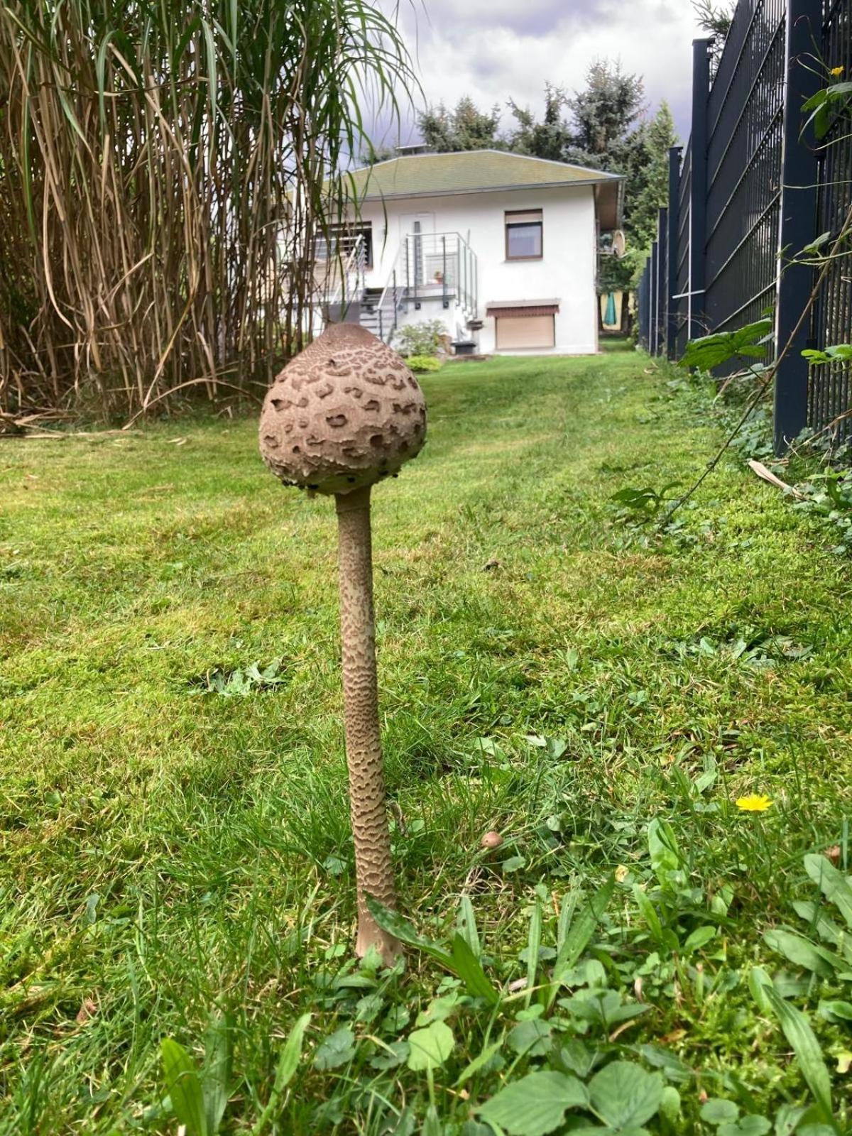 Ferienhaus Fuxbau Wohlau Buitenkant foto